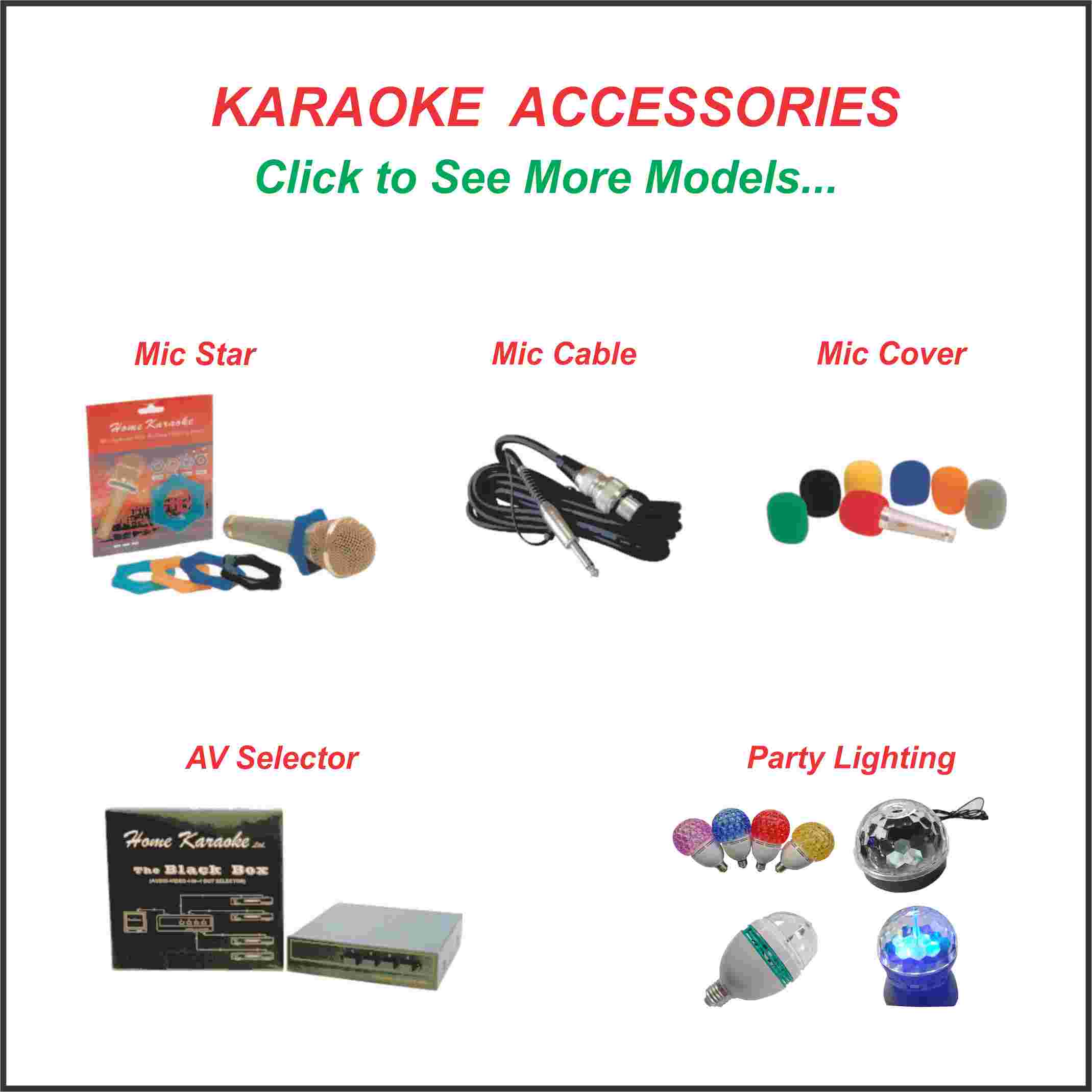 10. Karaoke Accessories